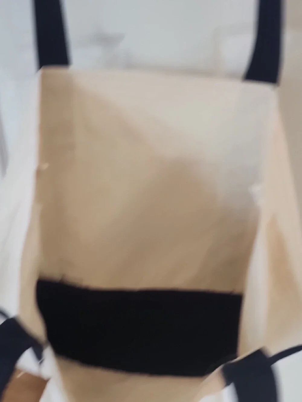 Trader Joe's Canvas Tote Bag in Natural and Navy